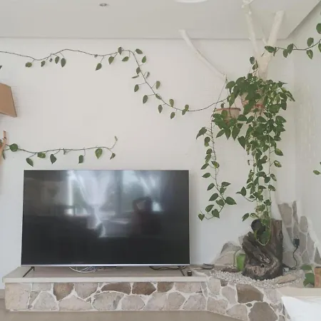 别墅 Casa Flora 科斯塔卡玛